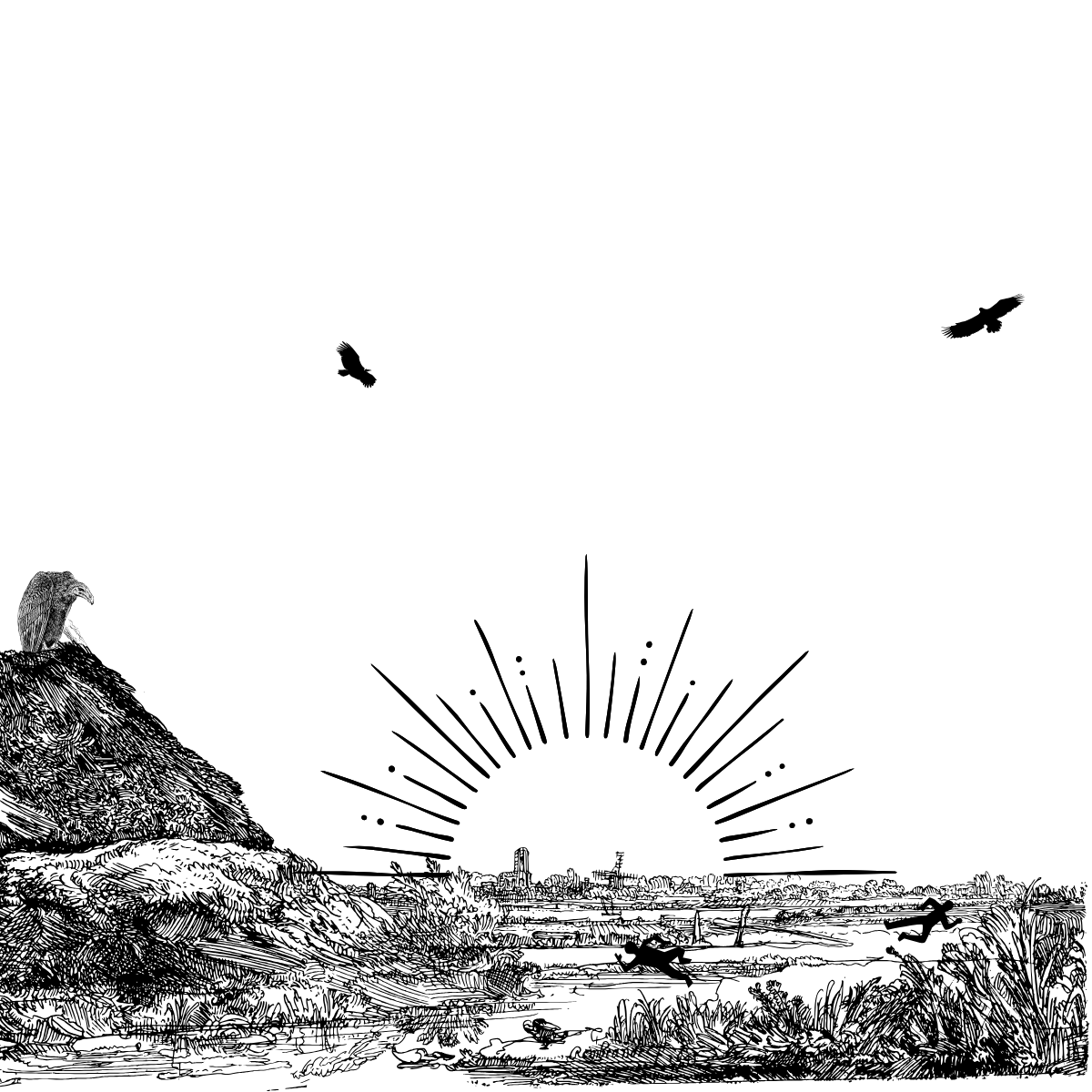 Wings of the Gray Swallow