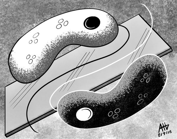 The Subliminal and the Sublime: An Interaction in Four Evolutionary Scenarios