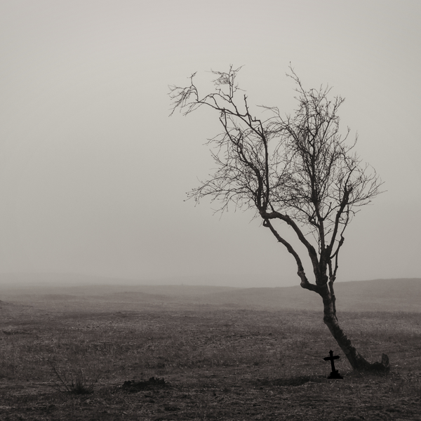 Even Talking Trees Die