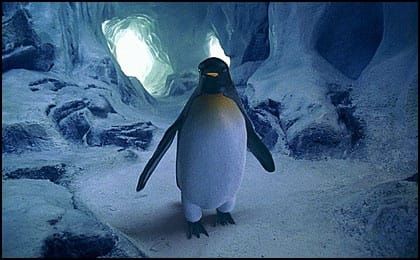 The Penguins Incredible Week