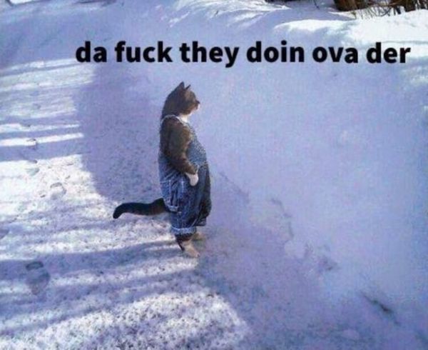 Because They Had To, Normal Mess Resumed