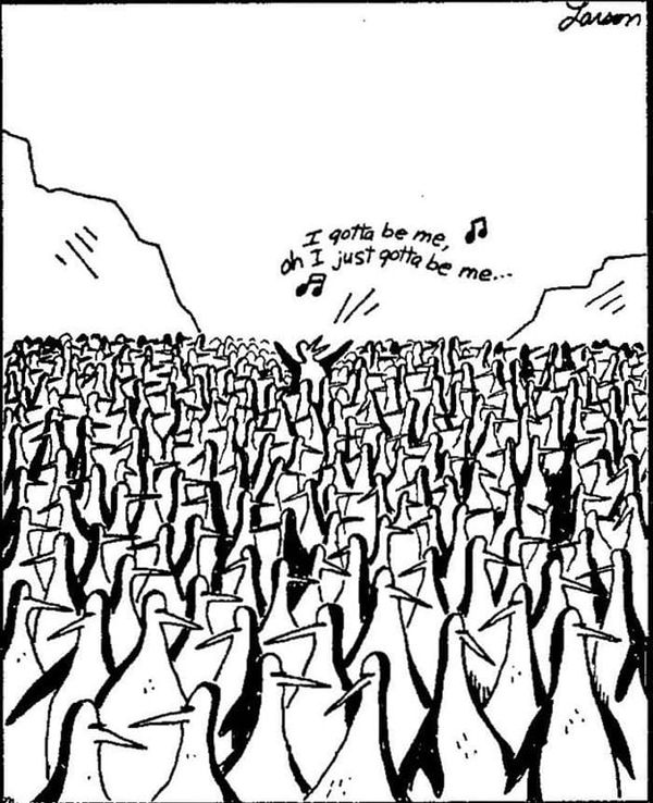 A Lesson From Toronto