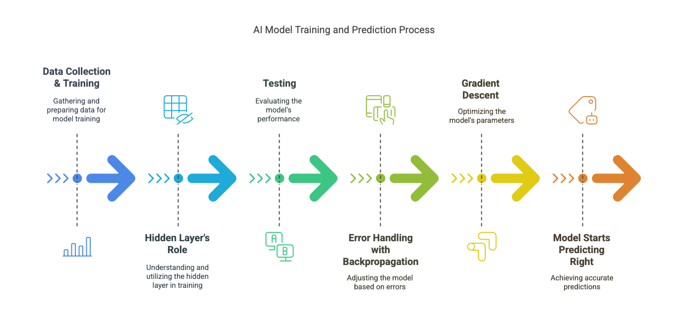 How Do AI Models Learn?
