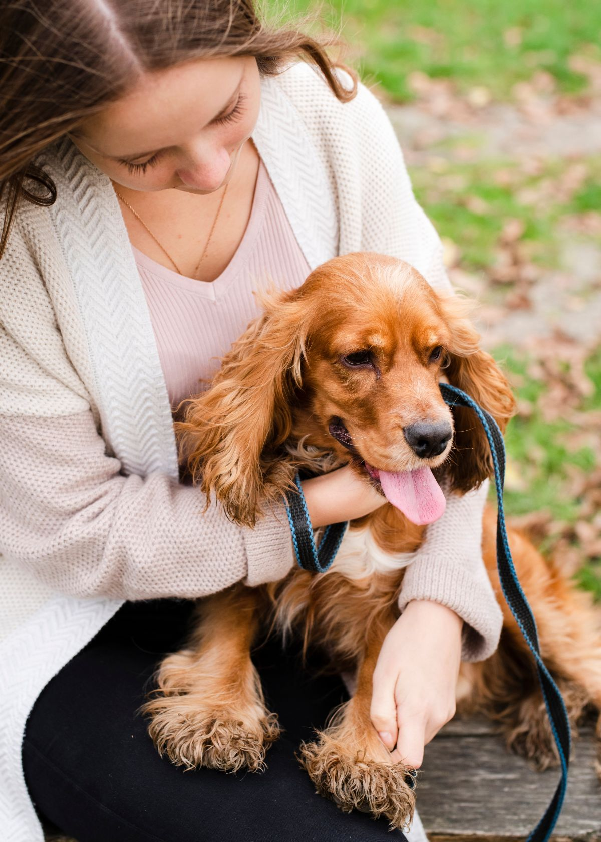 Best Dog Thermometer