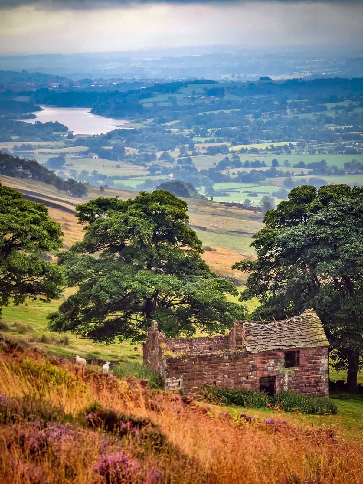 Tittesworth Reservoir