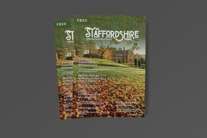 The Staffordshire Signal Has Landed – My Biggest Project Yet!