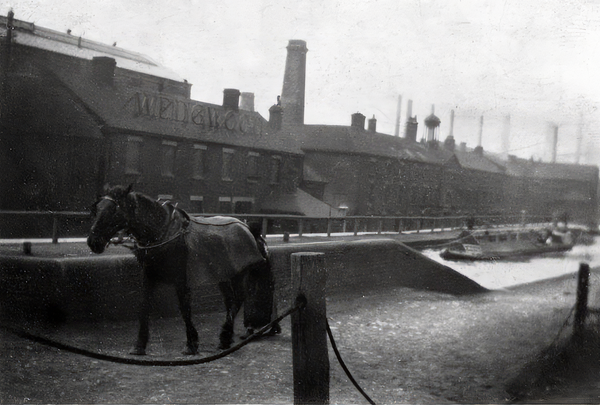 More Than Clay and Coal: Stoke-on-Trent’s Centenary