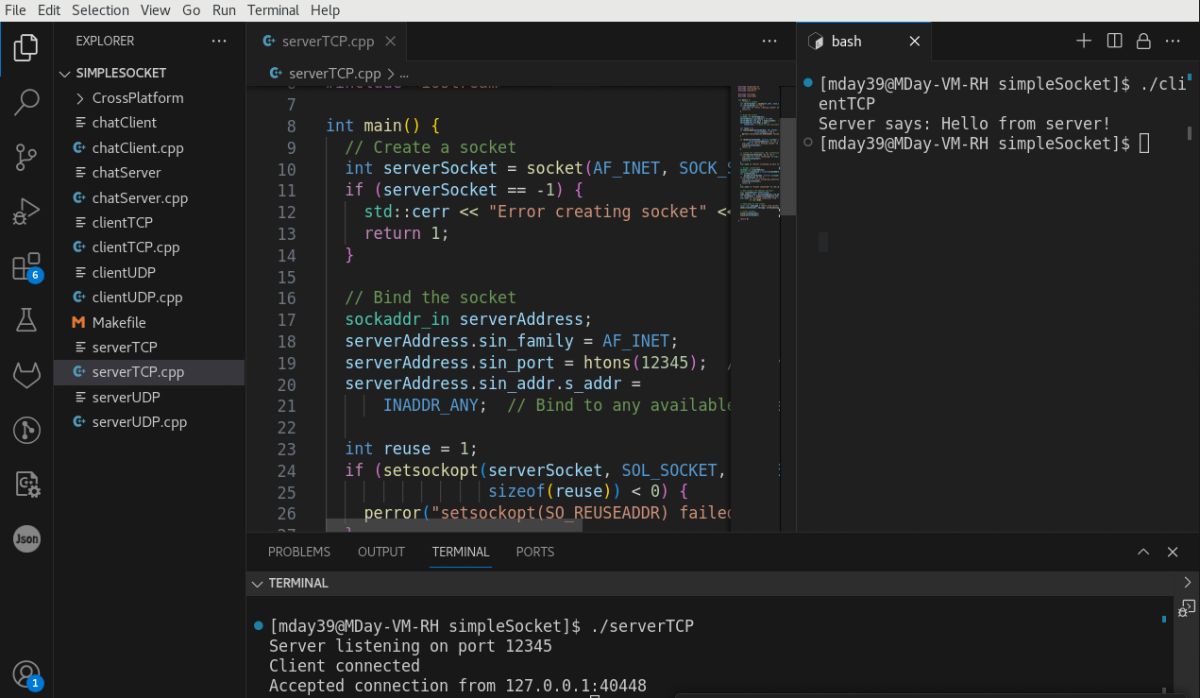 Network Sockets in C++
