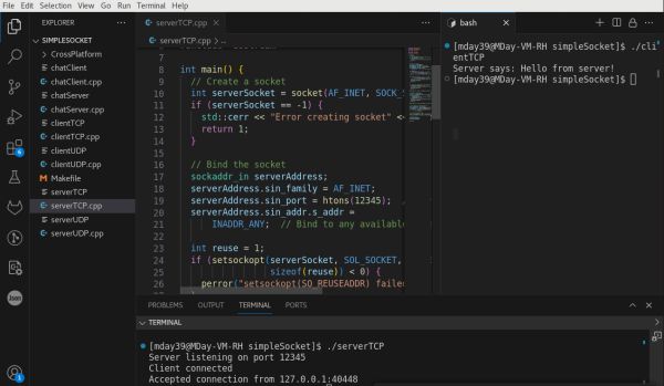 Network Sockets in C++