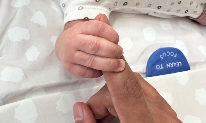 We did not have a Miscarriage