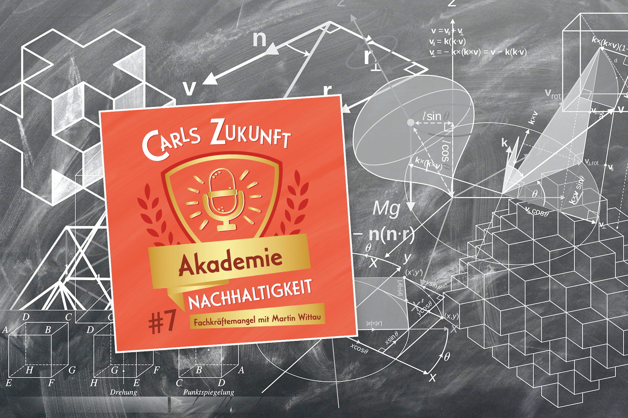 Akademie Nachhaltigkeit: #7 Fachkräftemangel mit Martin Wittau