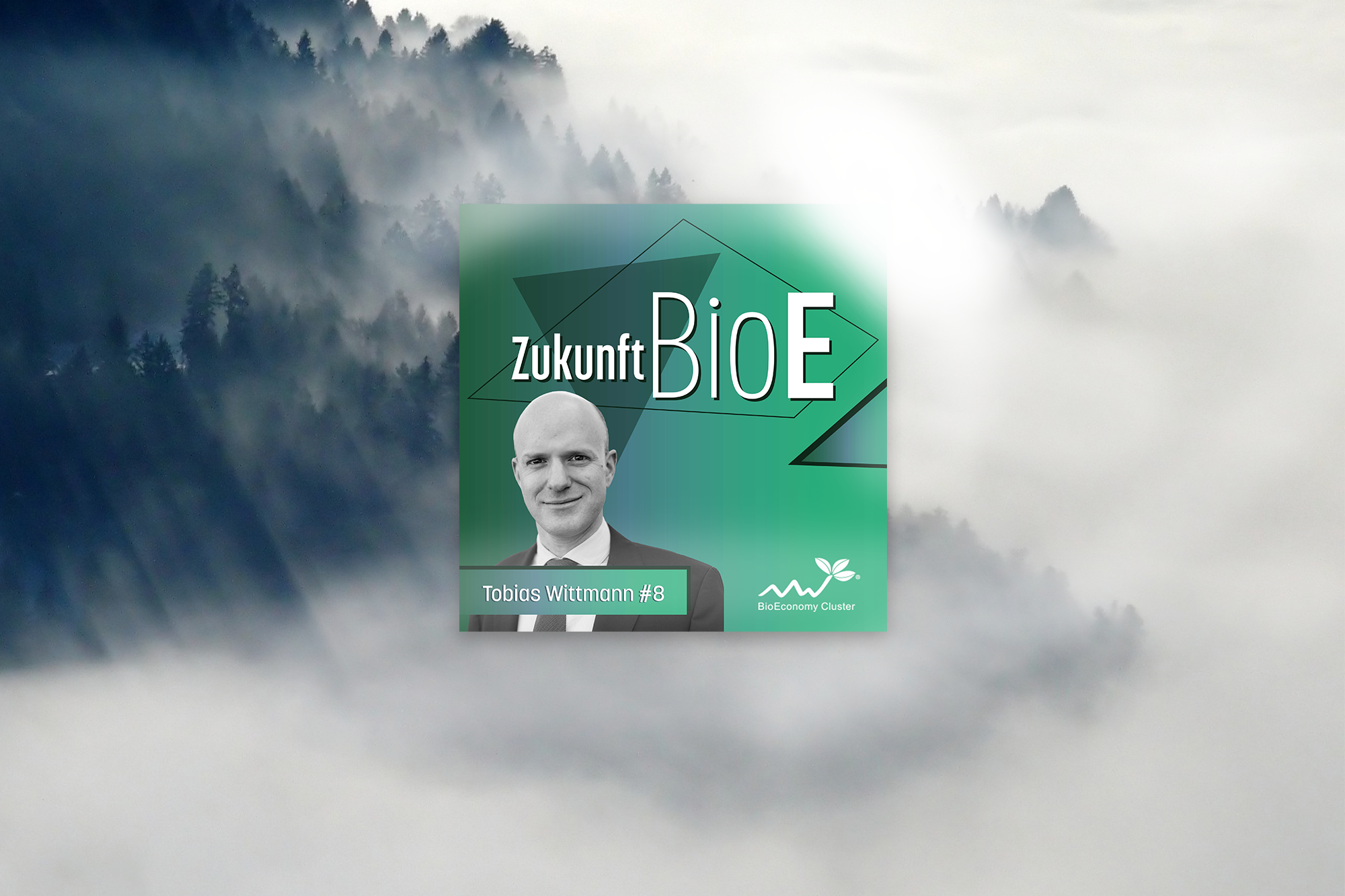 Tobias Wittmann – Kohlenstoffe aus Biomasse