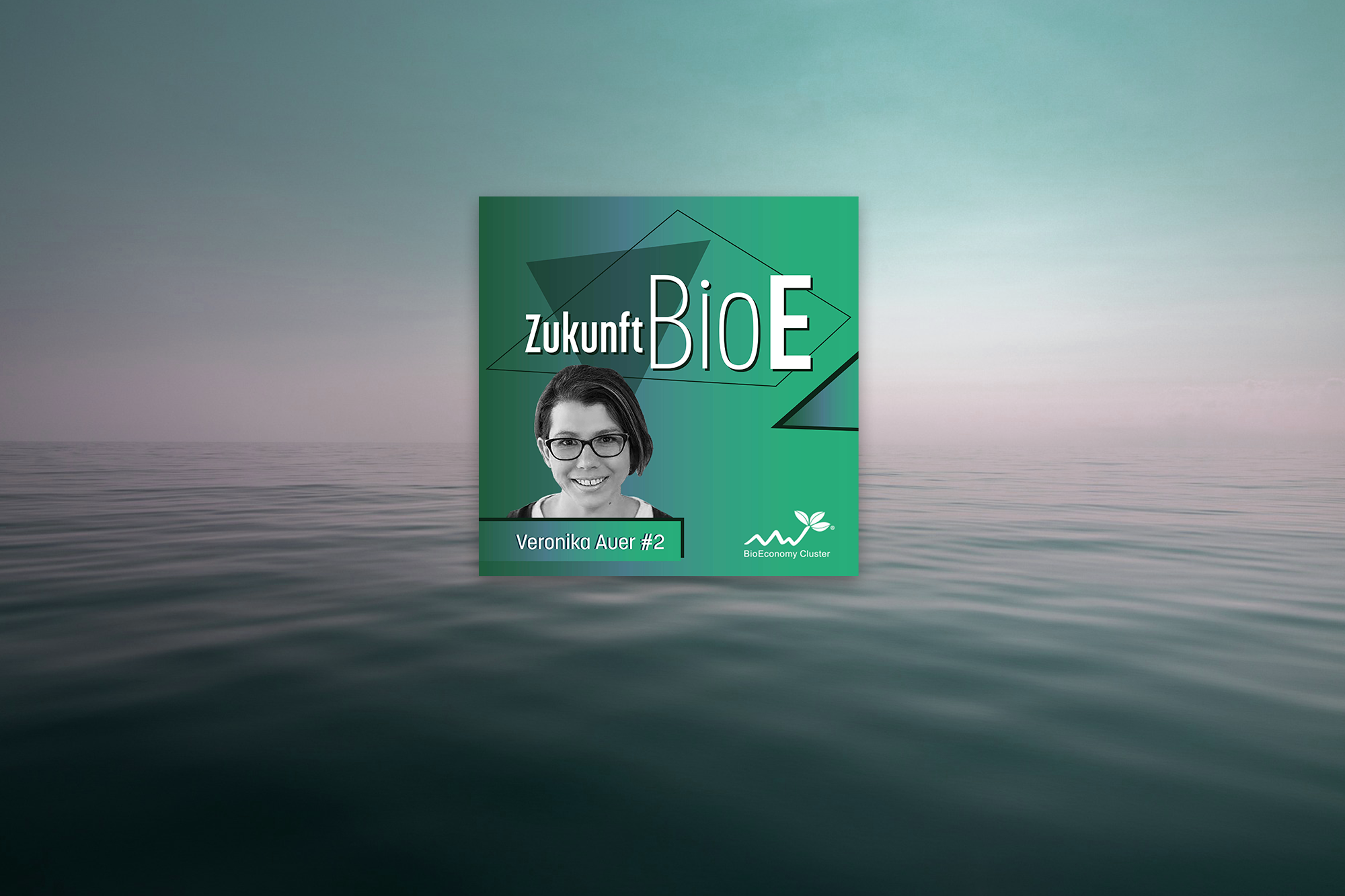 Veronika Auer – Holz als Rohstoff der Zukunft