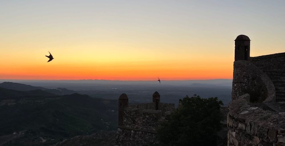 Future Camp Marvão 2026: Digitale Souveränität Beitragsbild