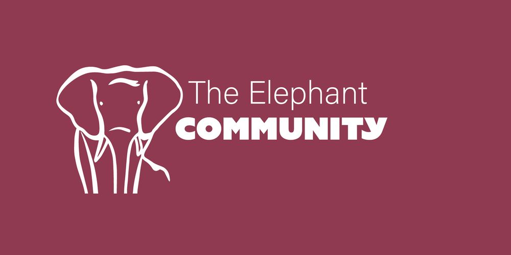 Unsere Community: The Elephant Beitragsbild