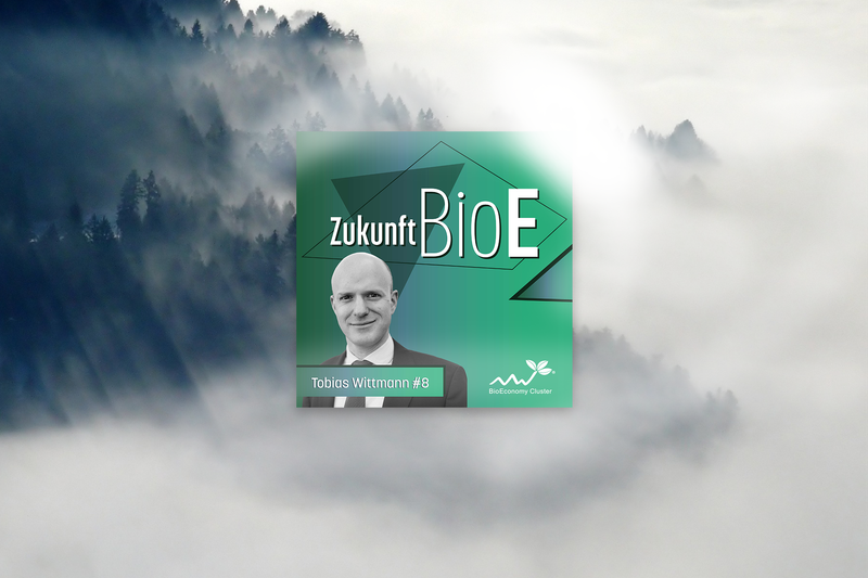 Tobias Wittmann – Kohlenstoffe aus Biomasse Beitragsbild