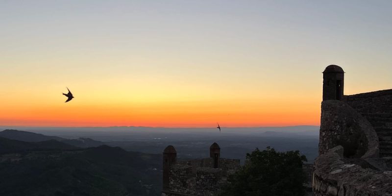 Zwei Schwalben fliegen vor dem Sonnenuntergang an der Burg Marvão, Portugal