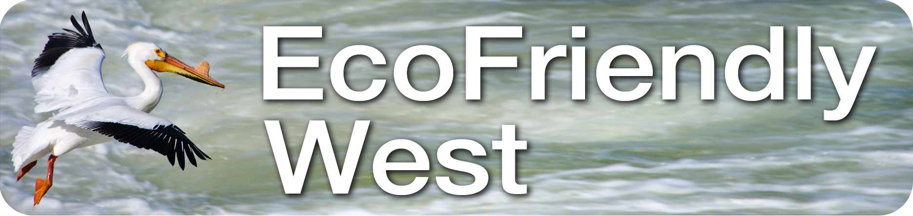 EcoFriendly West