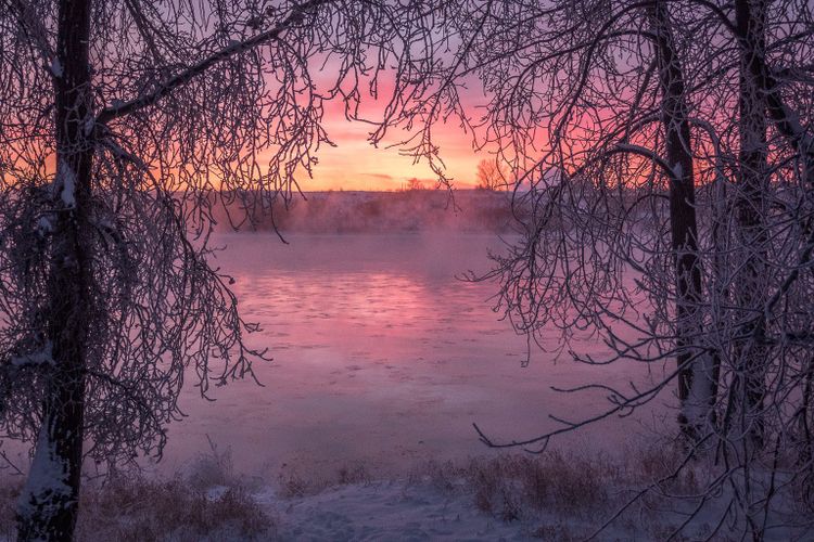 EcoWest News, February 22, 2022