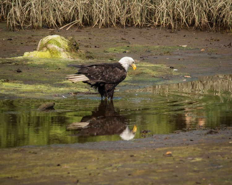 EcoWest News, March 15, 2022