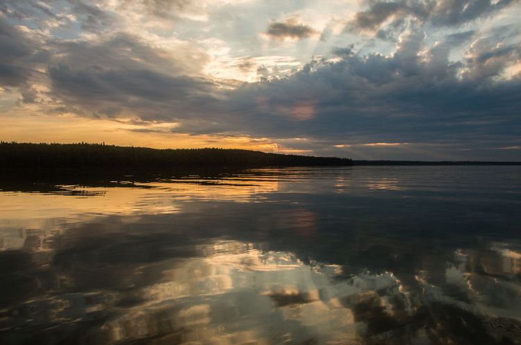 Environmental Research Organizations in Western Canada