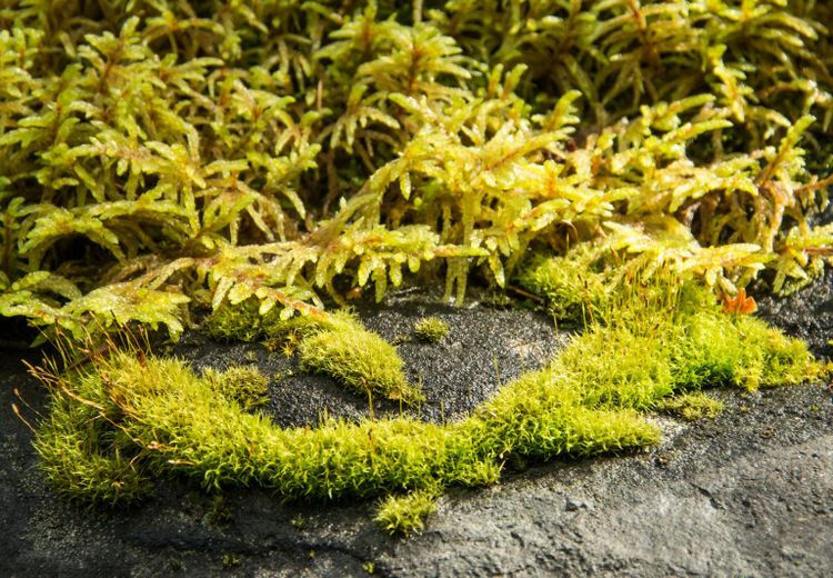 EcoWest News, September 27, 2022