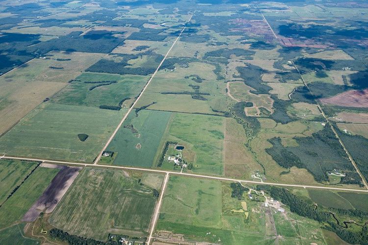 Wildlife Crossings / Passages Fauniques : Éco dans les Prairies