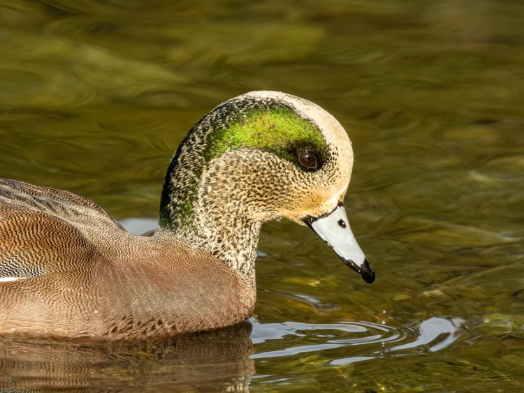 EcoWest News, January 31, 2023