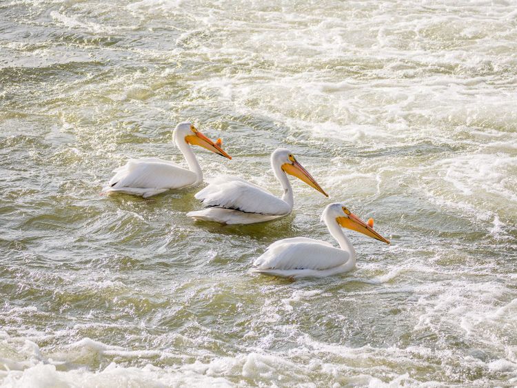 EcoWest News, April 18, 2023