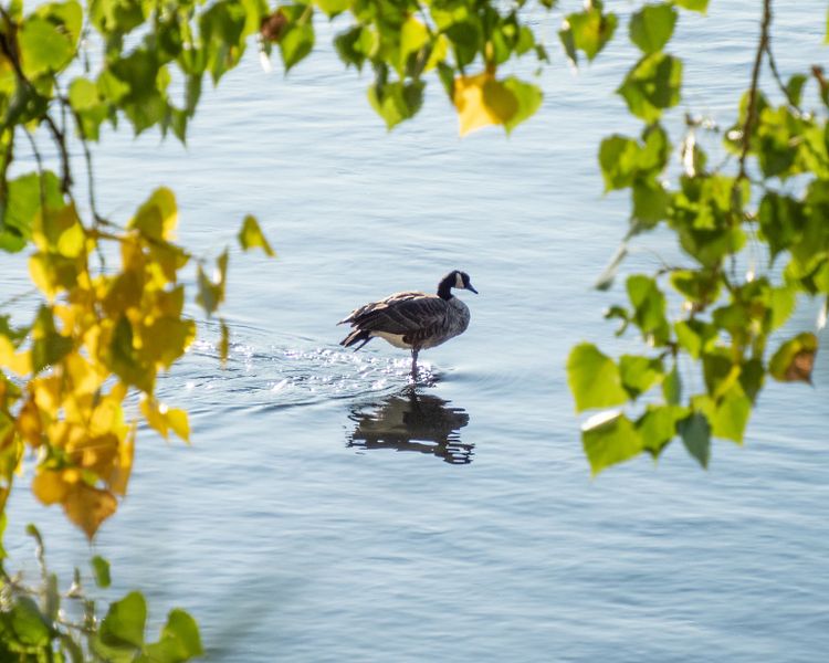 EcoWest News, September 12, 2023