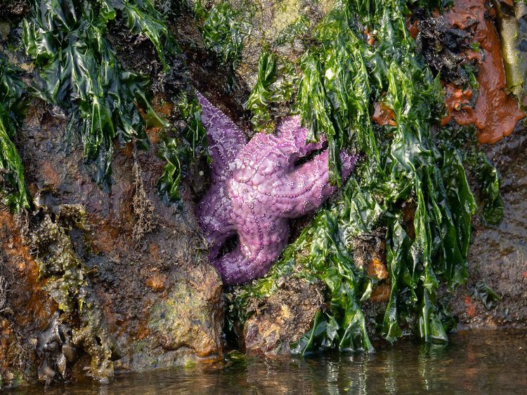 EcoWest News, October 17, 2023