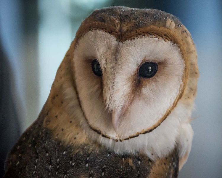 EcoWest News, October 3, 2023