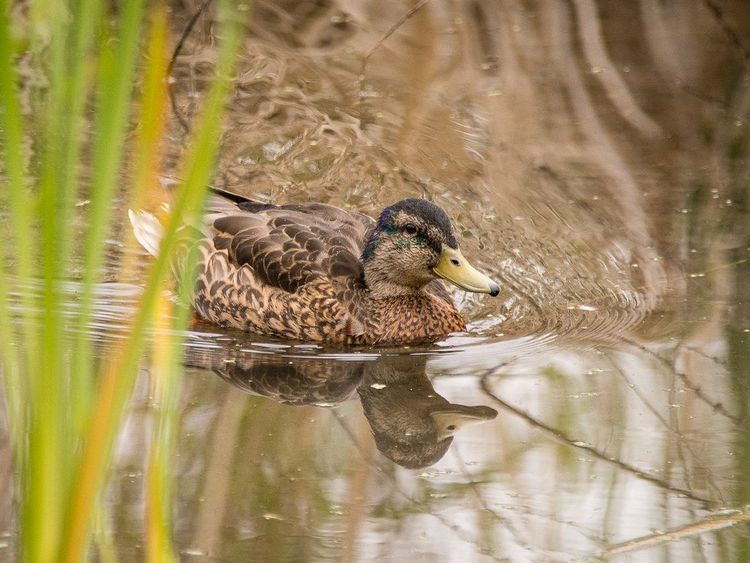 EcoWest News, November 21, 2023