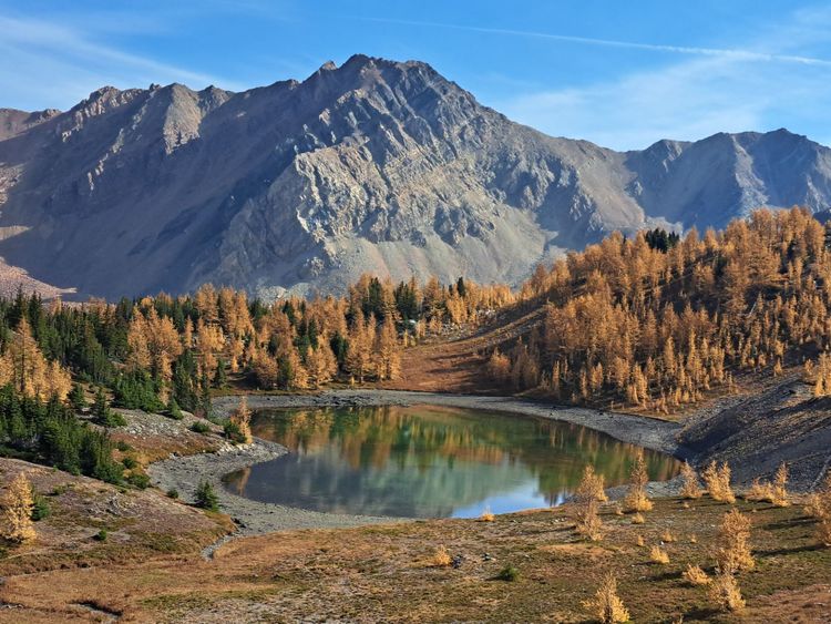 Casey Brennan, Conservation Director, Wildsight