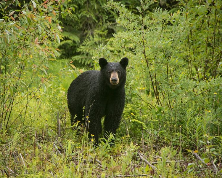 EcoWest News, December 5, 2023