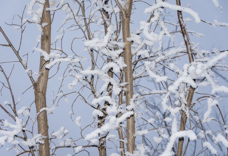 EcoWest News, January 9, 2024