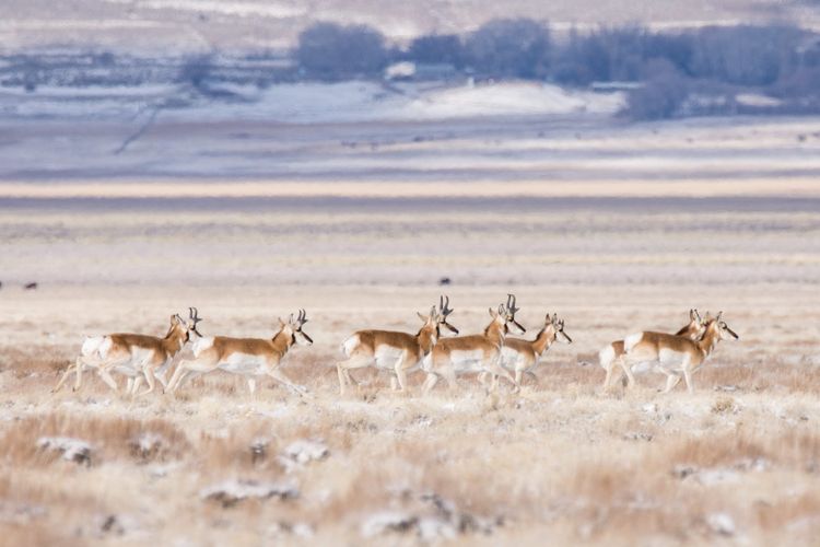 EcoWest News, January 23, 2024