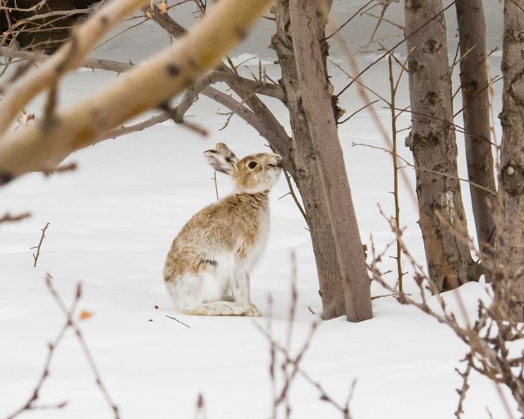 EcoWest News, January 30, 2024