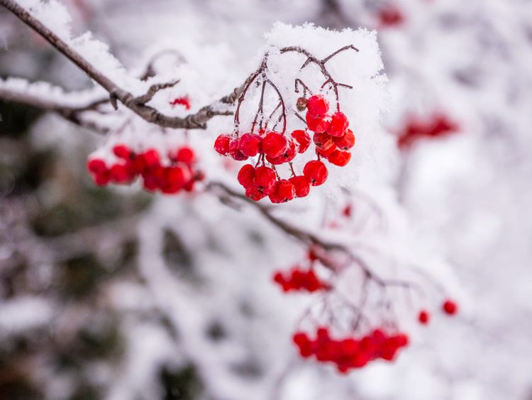 EcoWest News, February 27, 2024