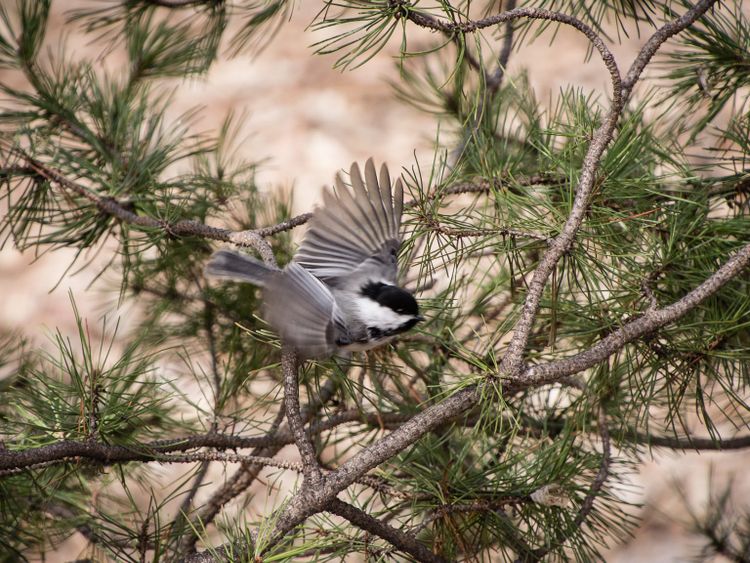 EcoWest News, February 20, 2024