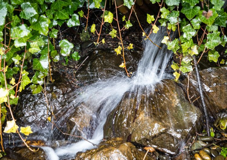 World Water Day 2024