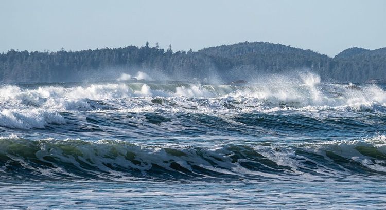 EcoWest News, March 5, 2024