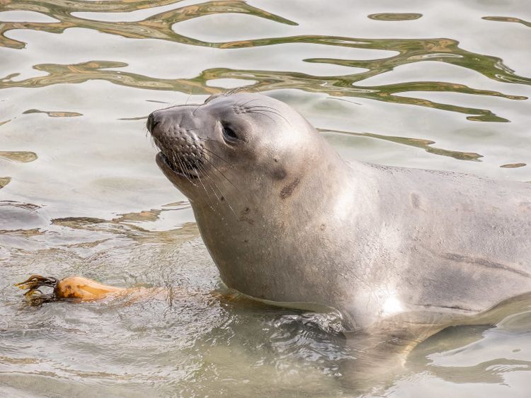 EcoWest News, March 26, 2024