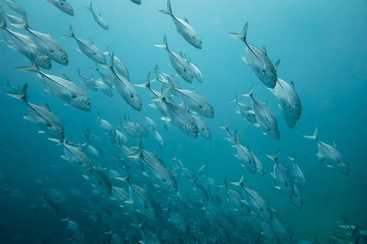 EcoWest News, April 16, 2024