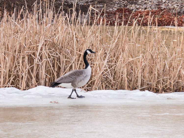 EcoWest News, April 2, 2024