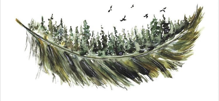 Book Review: Signs of Life by Sarah Cox