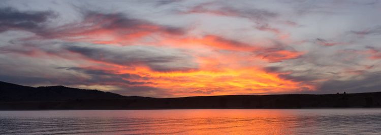 Community Leaders & Books: June 2024