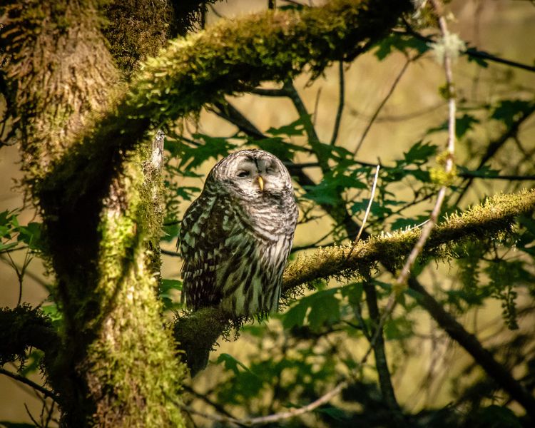 EcoWest News, July 9, 2024