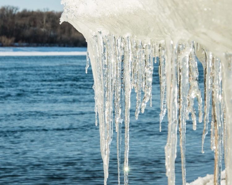 EcoWest News, March 11, 2025