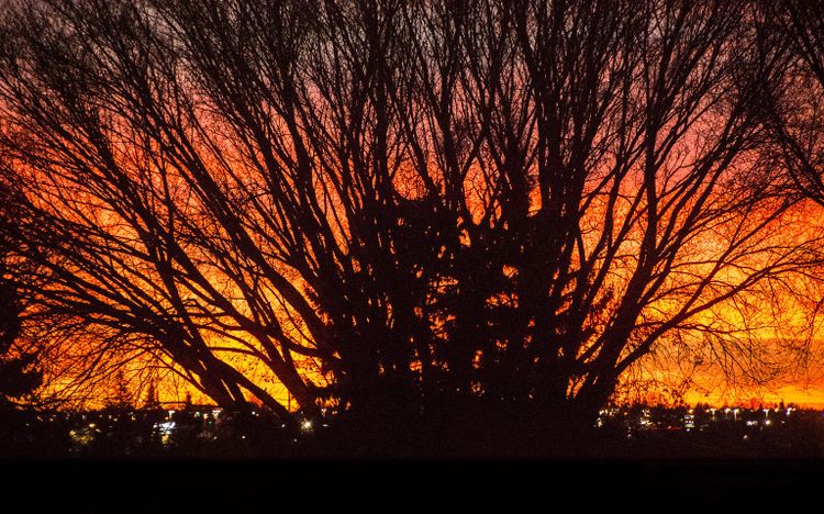 Community Leaders & Books: March 2025